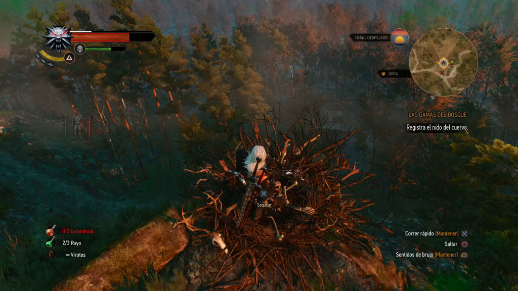 The Witcher 3 Egla 5