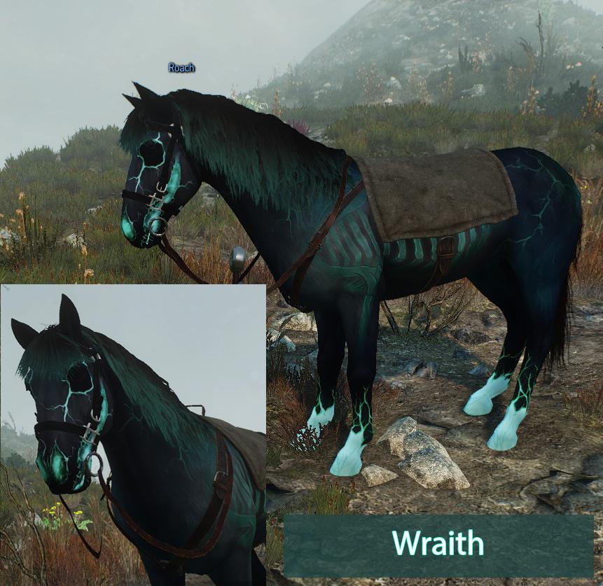 The Witcher 3 Wraith