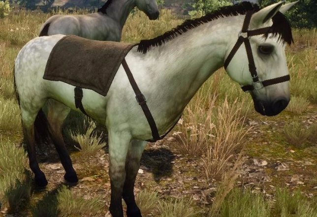 The Witcher caballo blanco