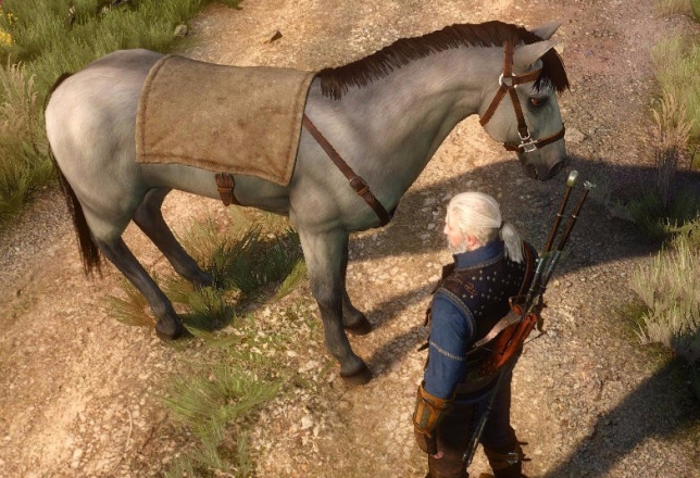 The Witcher caballo gris