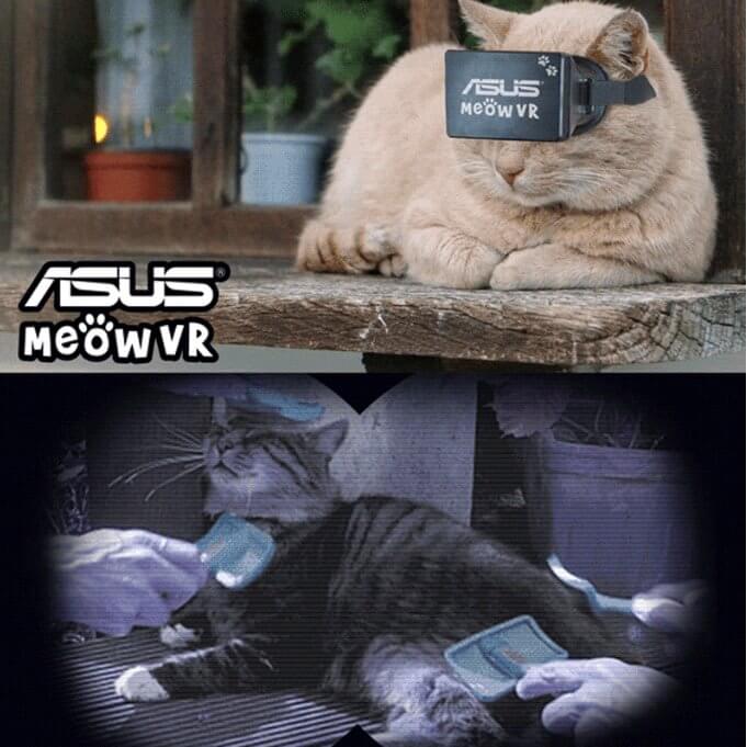 Meow vr