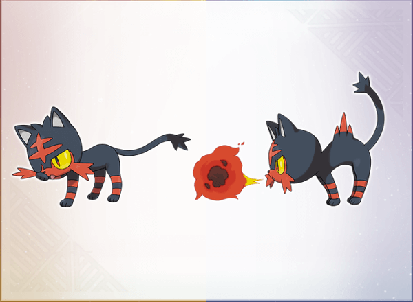 Pokémon Litten