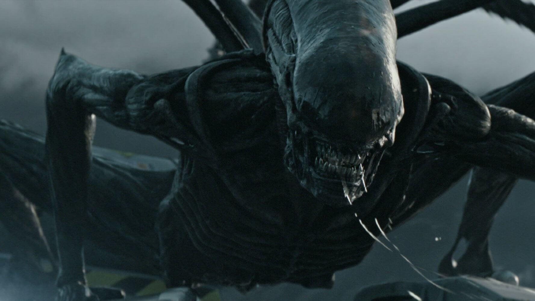 Alien Covenant - Xenomorfo