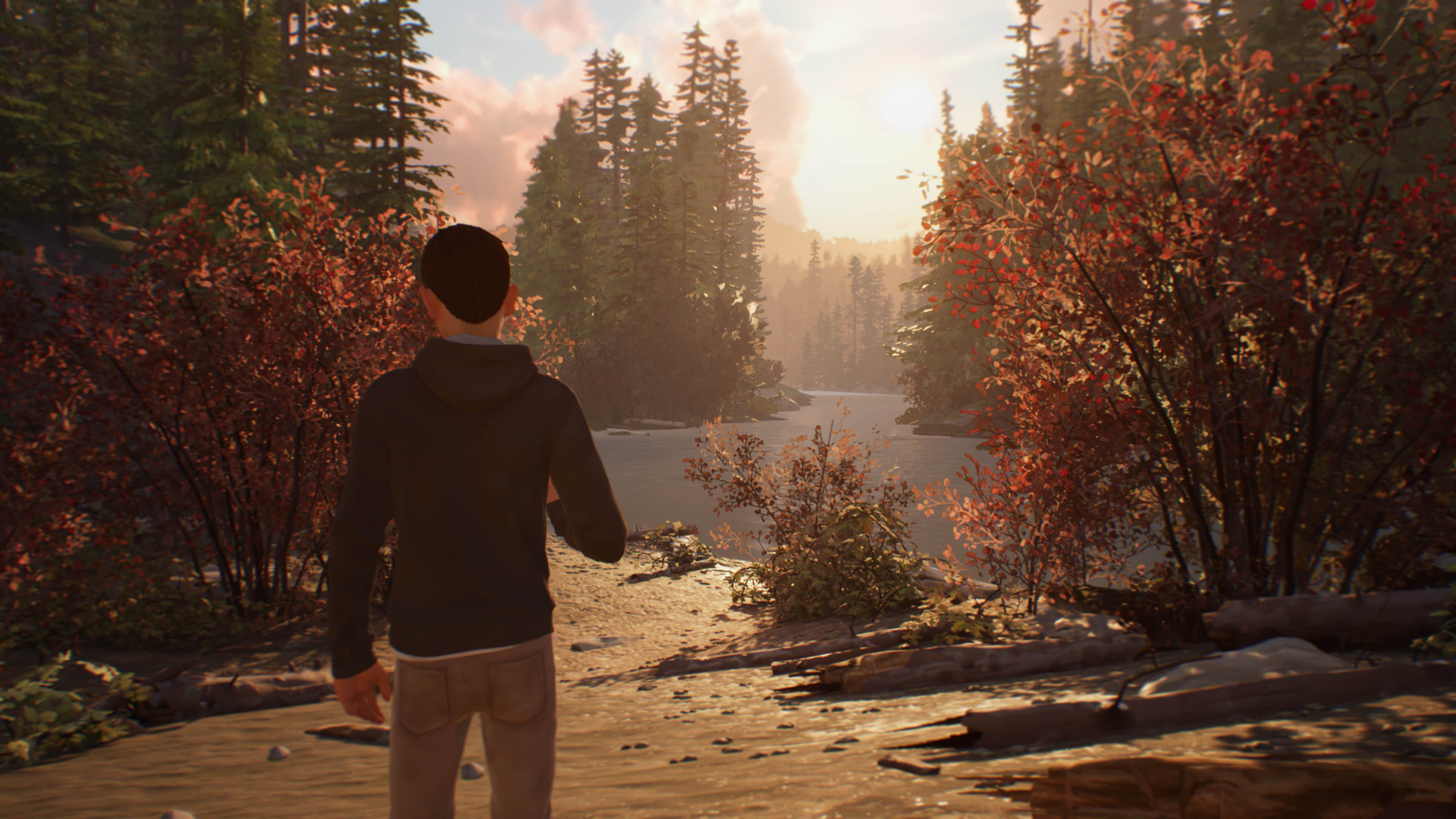 Life is Strange 2 - Episodio 1_paisajes