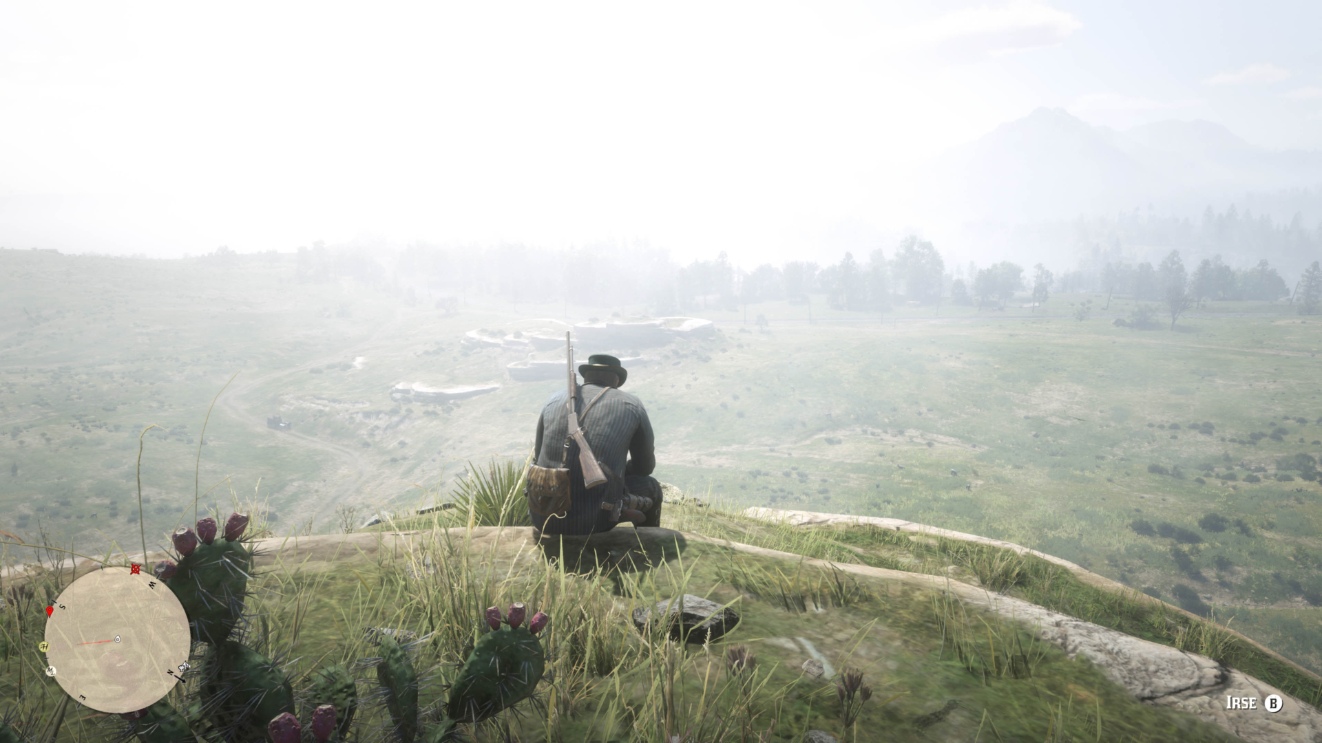 Red Dead Redemption 2__neblina y paisajes (3)