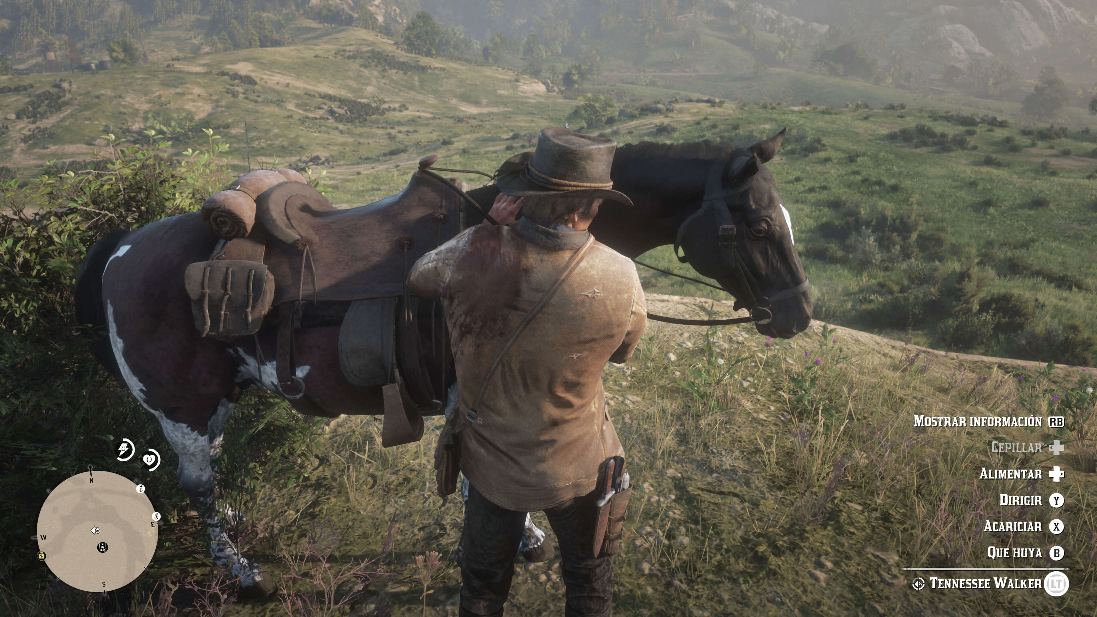 Red Dead Redemption 2_cuidado del caballo