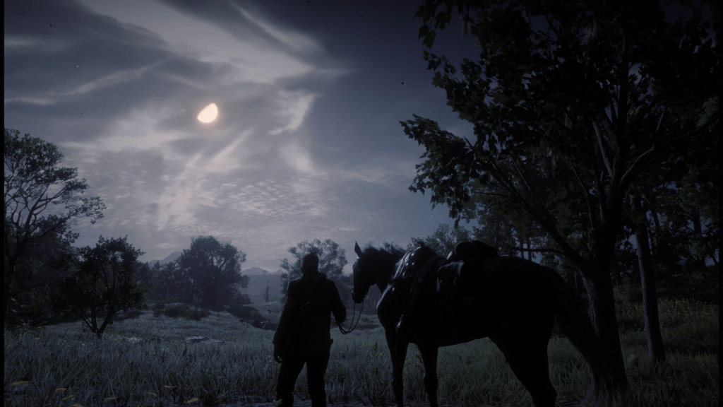 Red Dead Redemption 2 - Noche